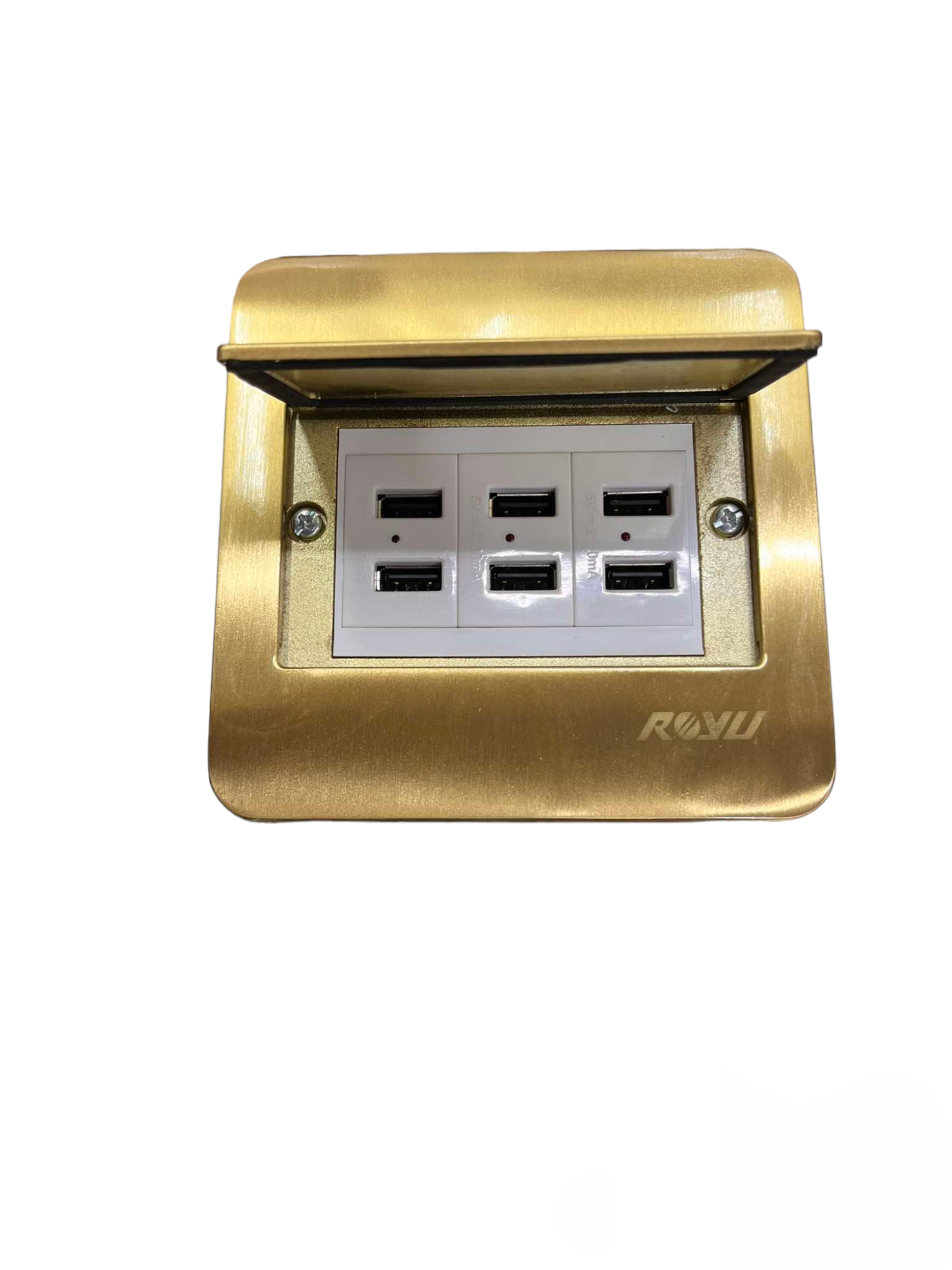 Royu Floor Outlet 6 Port USB Outlet with brass cover and six USB ports for convenient charging