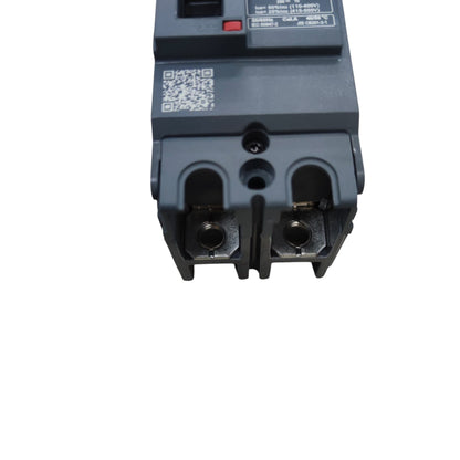 Schneider 60A 2 Pole Breaker Industrial Easy Pact with compact design for reliable electrical circuit protection