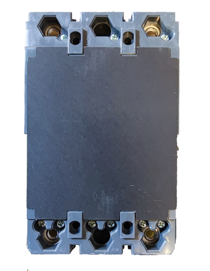 Schneider 125A 2 Pole Single Phase Breaker electrical circuitry component with black and gray body