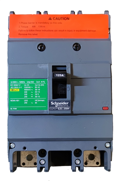 Schneider 125A 2 Pole Single Phase Breaker electrical circuitry part with safety labels