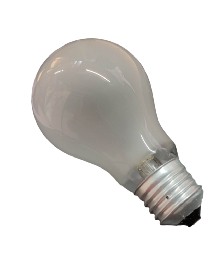 Taiyou 100W Incandescent Lamp E27 220V with frosted glass bulb and metal screw base