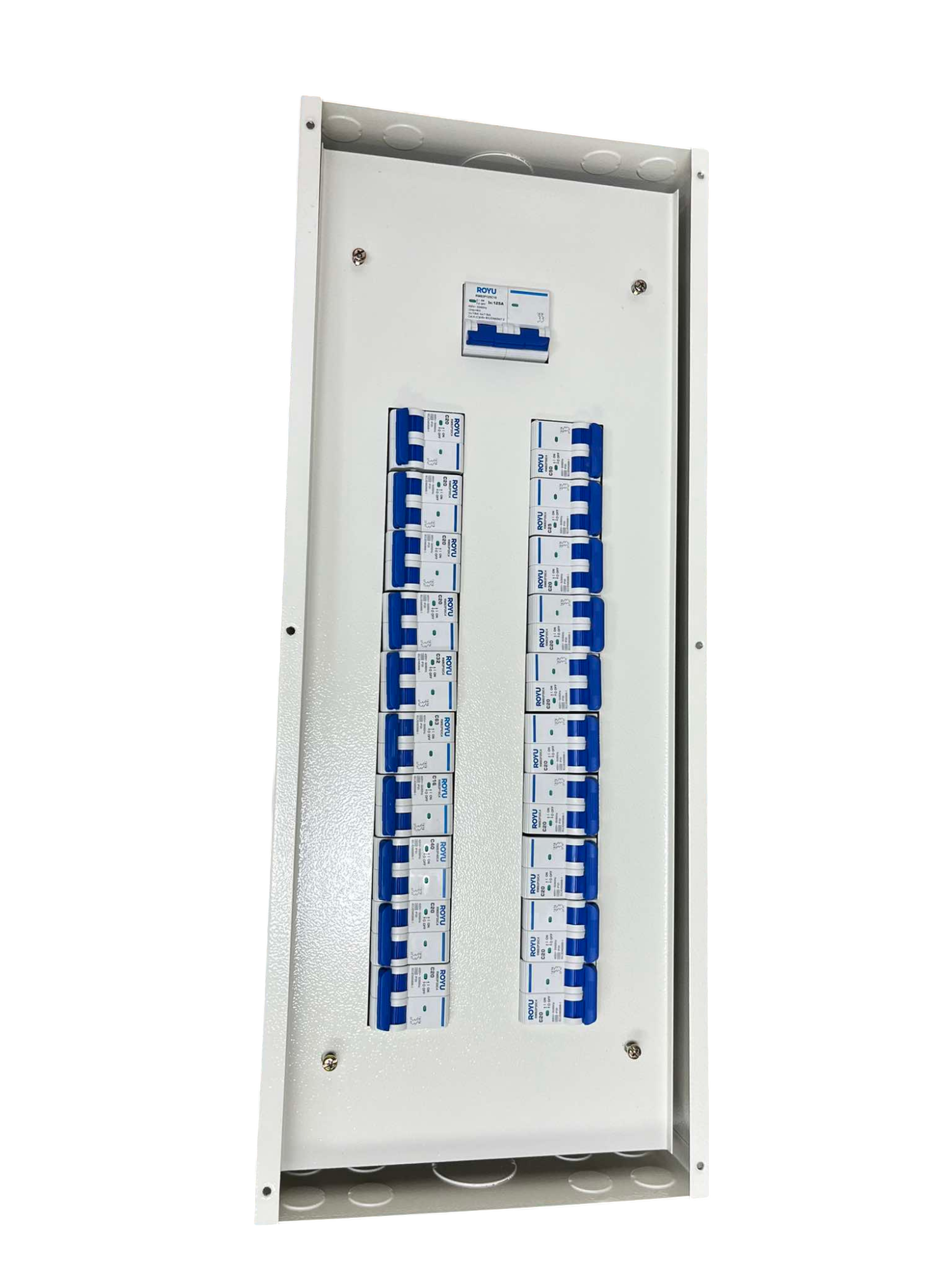 Royu & Koten 2 pole miniature circuit breaker panel with multiple switches in a white metal enclosure