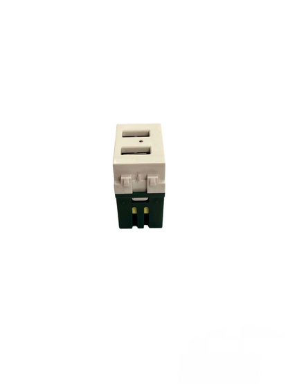 Royu USB Outlet 2 Port 1 Device Wide Series white dual port USB power outlet module