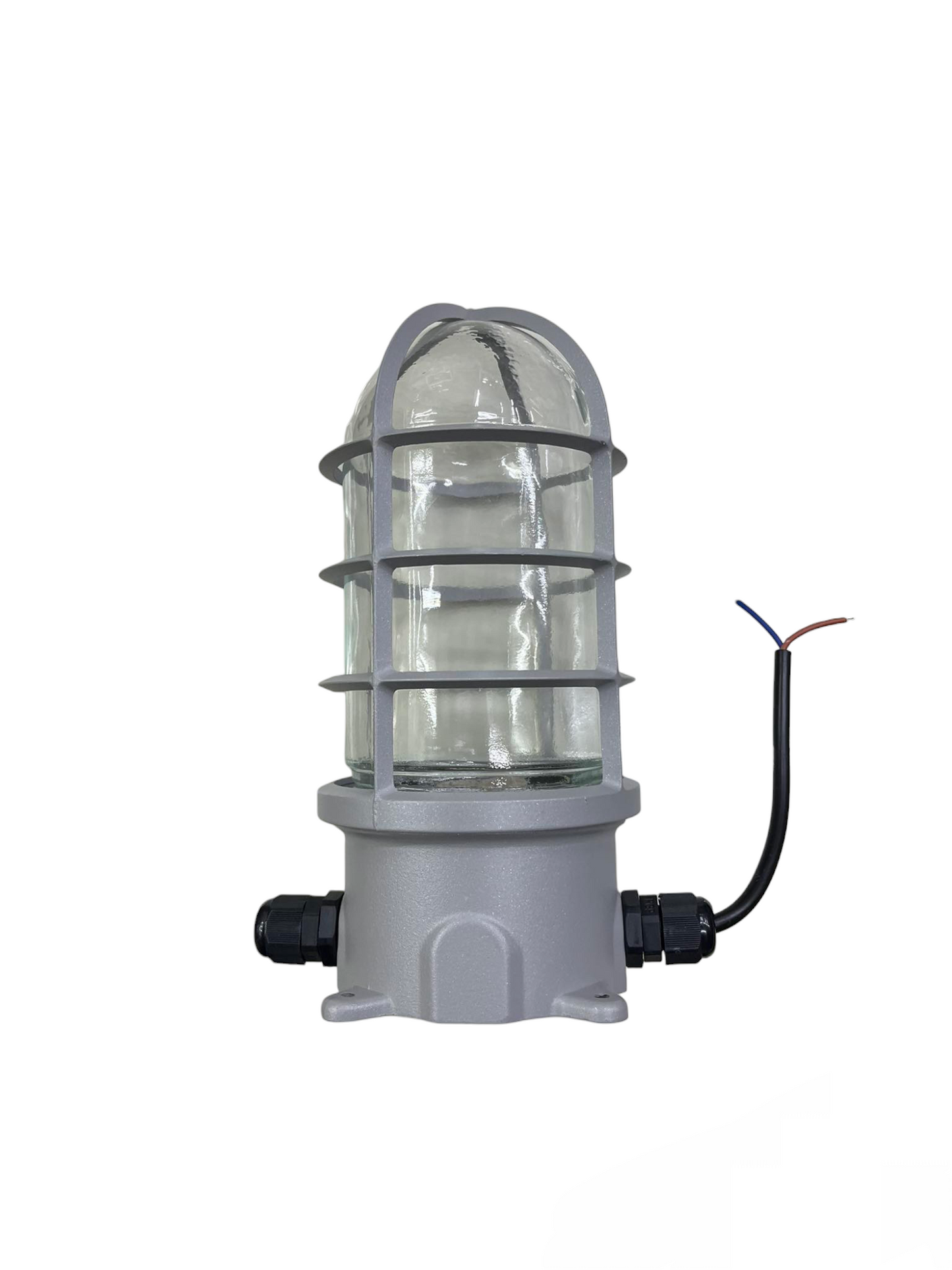 Globe Vapor Lamp Glass Clear E27 60W 220V industrial-style lighting installation fixture with protective metal cage
