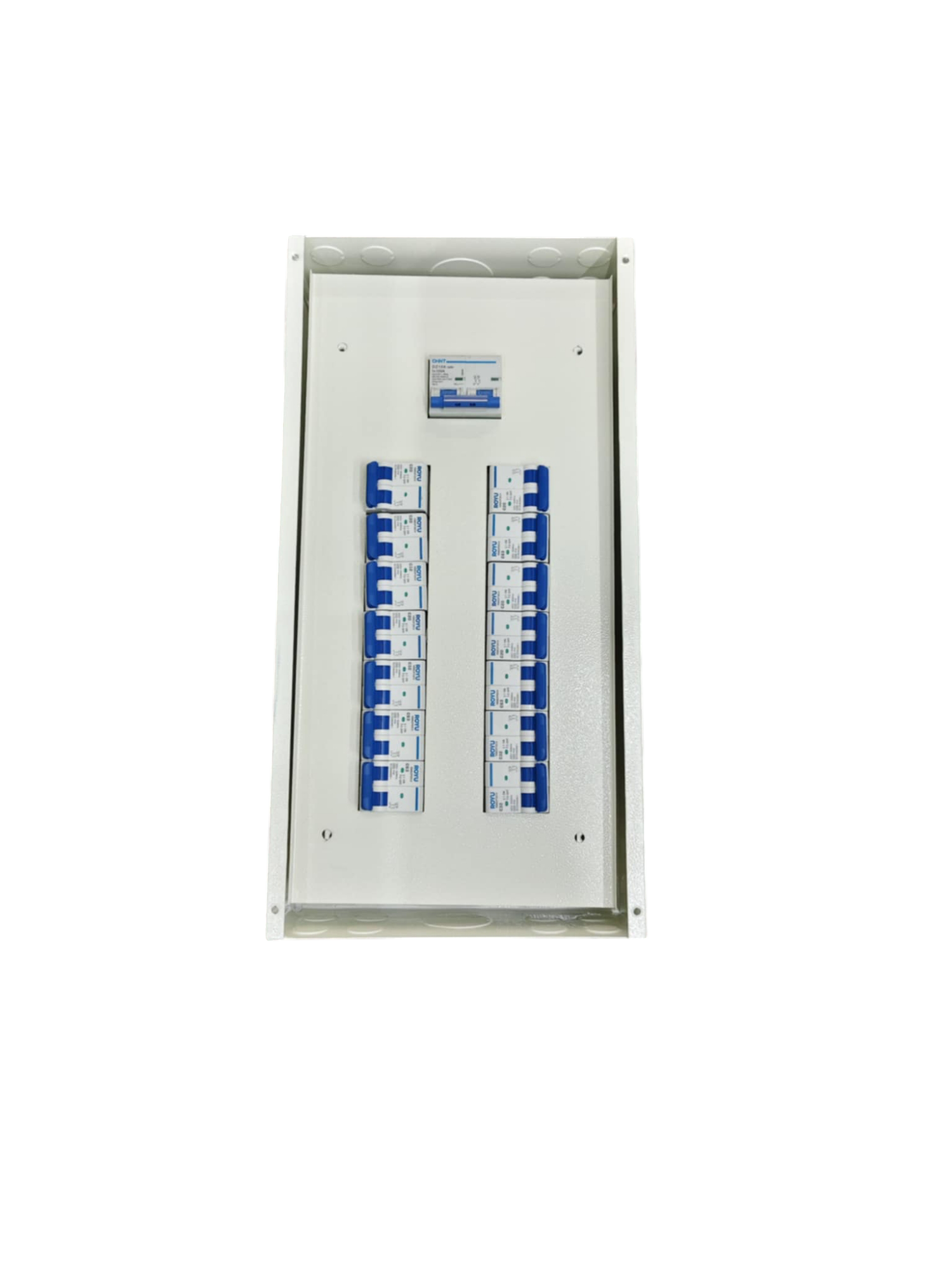 Panel Board 100A 2Pole Main electrical circuitry with multiple blue switches and white metal enclosure